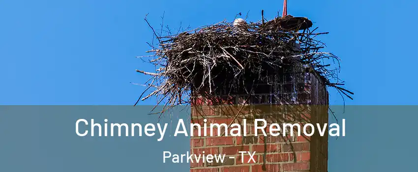 Chimney Animal Removal Parkview - TX