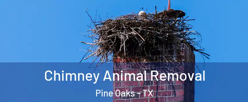 Chimney Animal Removal Pine Oaks - TX