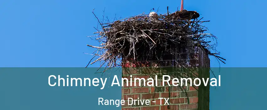 Chimney Animal Removal Range Drive - TX