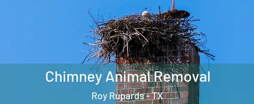 Chimney Animal Removal Roy Rupards - TX