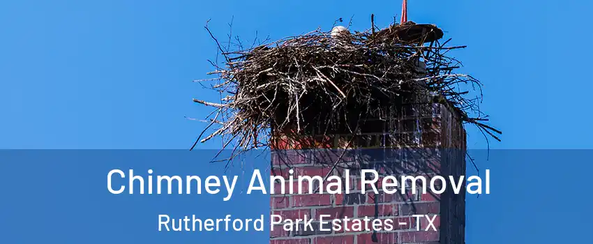 Chimney Animal Removal Rutherford Park Estates - TX