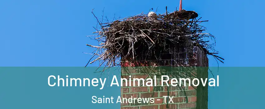 Chimney Animal Removal Saint Andrews - TX