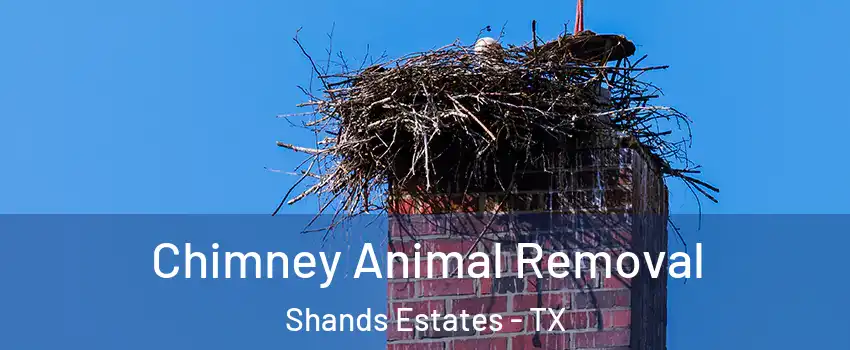 Chimney Animal Removal Shands Estates - TX