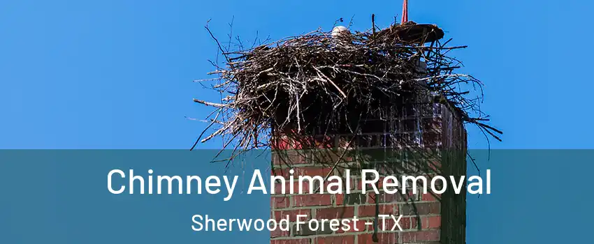 Chimney Animal Removal Sherwood Forest - TX