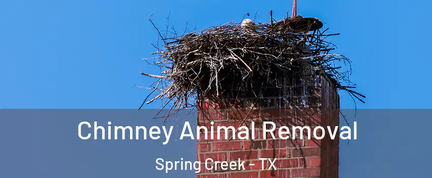 Chimney Animal Removal Spring Creek - TX