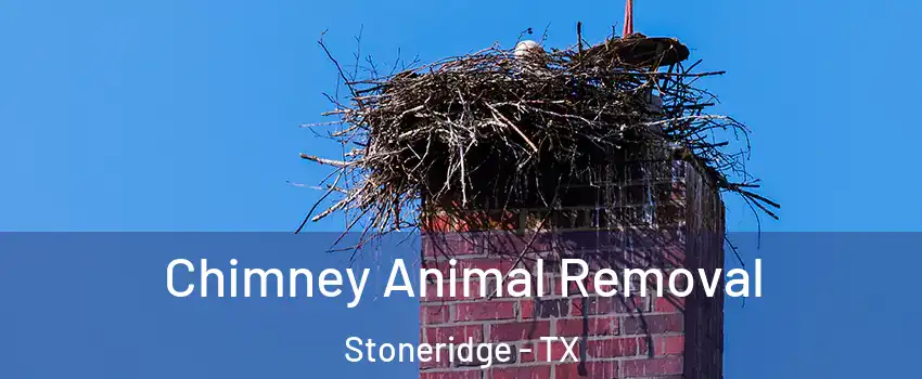 Chimney Animal Removal Stoneridge - TX