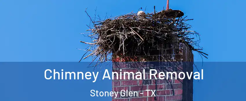 Chimney Animal Removal Stoney Glen - TX