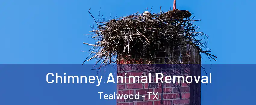 Chimney Animal Removal Tealwood - TX