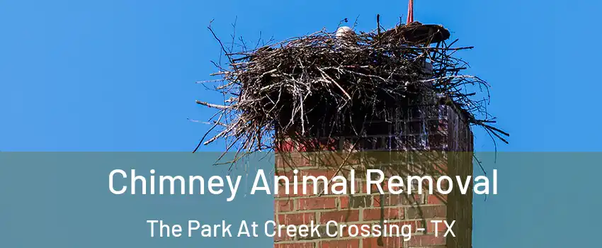 Chimney Animal Removal The Park At Creek Crossing - TX