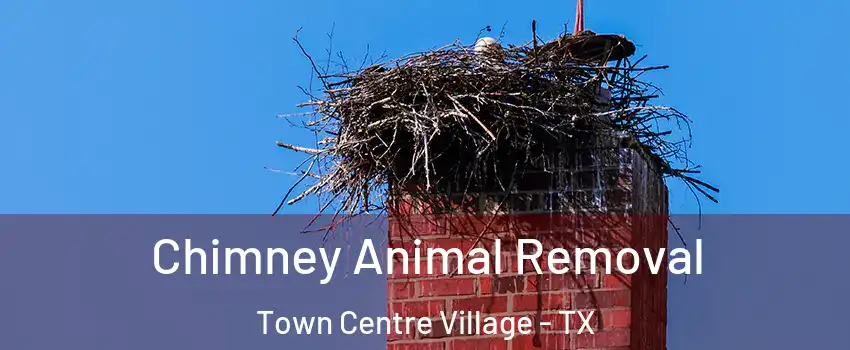 Chimney Animal Removal Town Centre Village - TX
