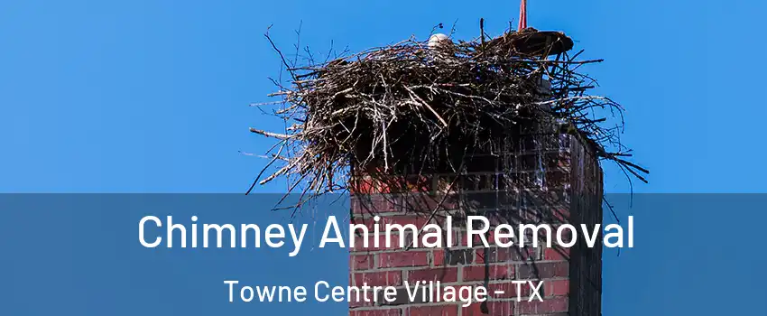 Chimney Animal Removal Towne Centre Village - TX