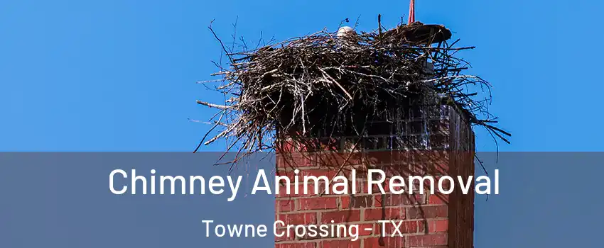 Chimney Animal Removal Towne Crossing - TX