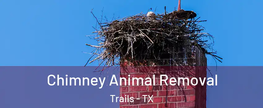 Chimney Animal Removal Trails - TX