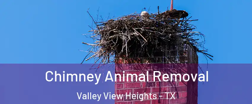 Chimney Animal Removal Valley View Heights - TX