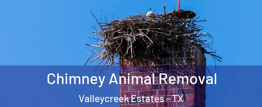 Chimney Animal Removal Valleycreek Estates - TX