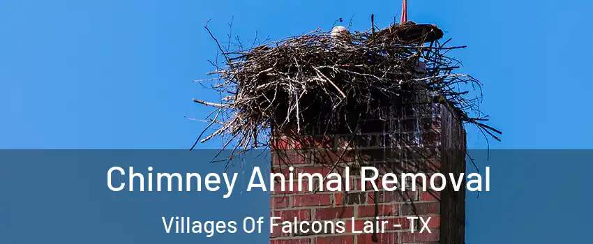 Chimney Animal Removal Villages Of Falcons Lair - TX