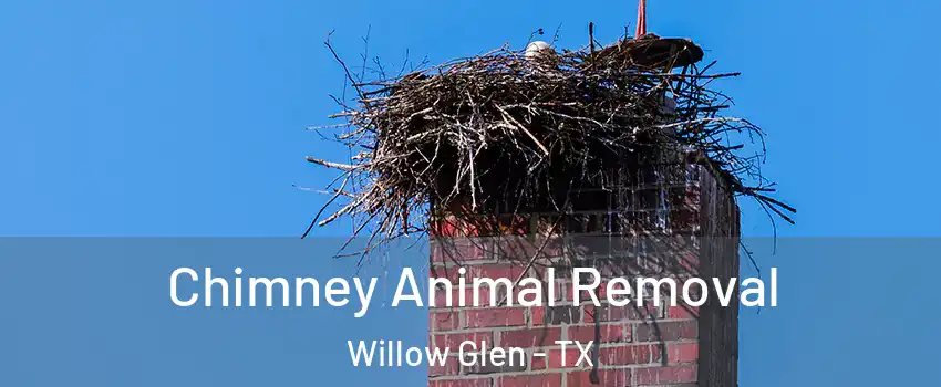 Chimney Animal Removal Willow Glen - TX