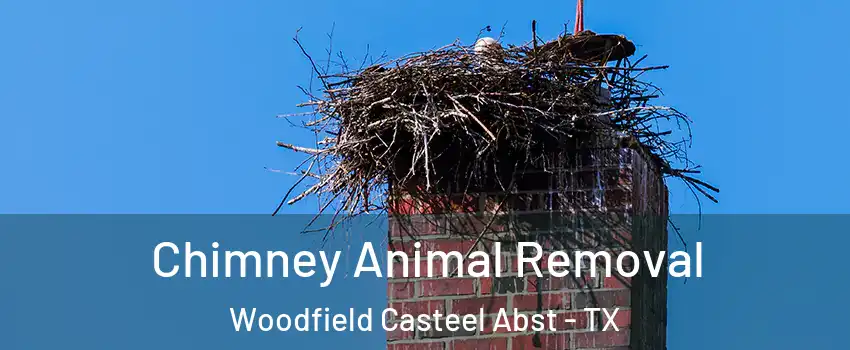 Chimney Animal Removal Woodfield Casteel Abst - TX