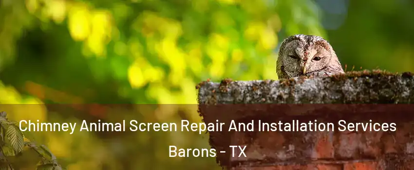 Chimney Animal Screen Repair And Installation Services Barons - TX
