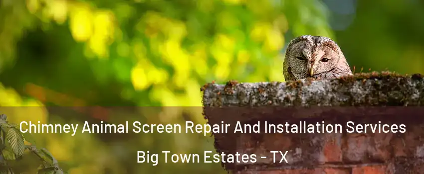 Chimney Animal Screen Repair And Installation Services Big Town Estates - TX