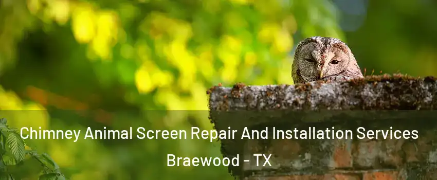 Chimney Animal Screen Repair And Installation Services Braewood - TX