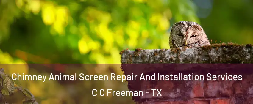 Chimney Animal Screen Repair And Installation Services C C Freeman - TX
