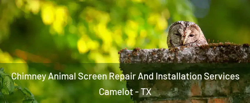 Chimney Animal Screen Repair And Installation Services Camelot - TX