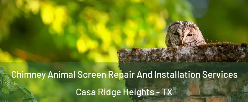 Chimney Animal Screen Repair And Installation Services Casa Ridge Heights - TX