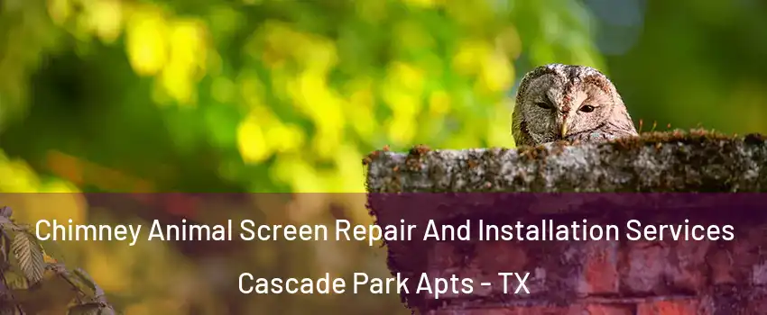 Chimney Animal Screen Repair And Installation Services Cascade Park Apts - TX