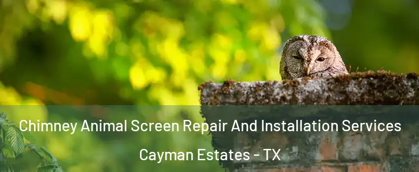 Chimney Animal Screen Repair And Installation Services Cayman Estates - TX