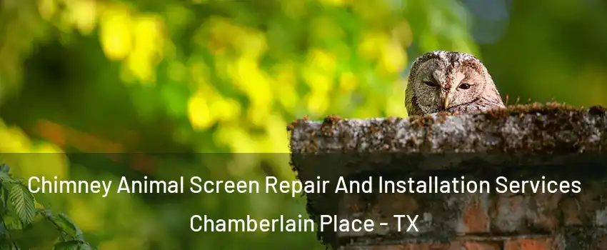 Chimney Animal Screen Repair And Installation Services Chamberlain Place - TX