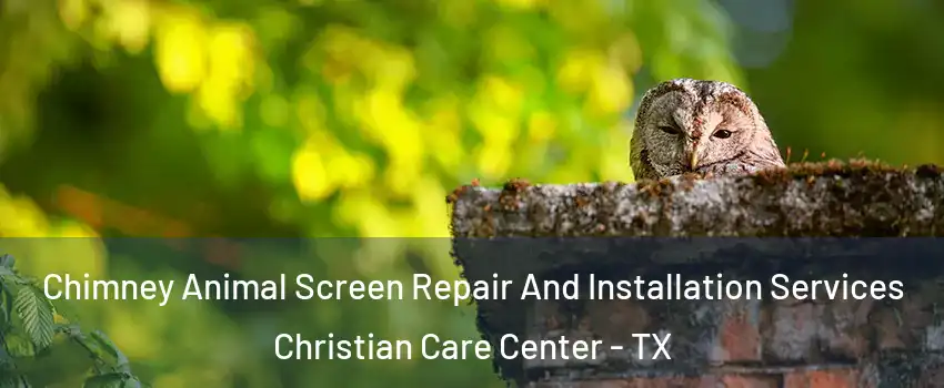 Chimney Animal Screen Repair And Installation Services Christian Care Center - TX