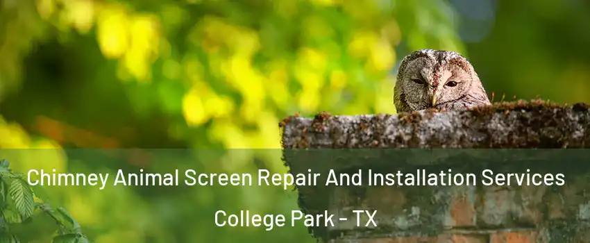 Chimney Animal Screen Repair And Installation Services College Park - TX
