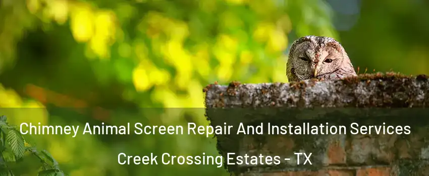 Chimney Animal Screen Repair And Installation Services Creek Crossing Estates - TX
