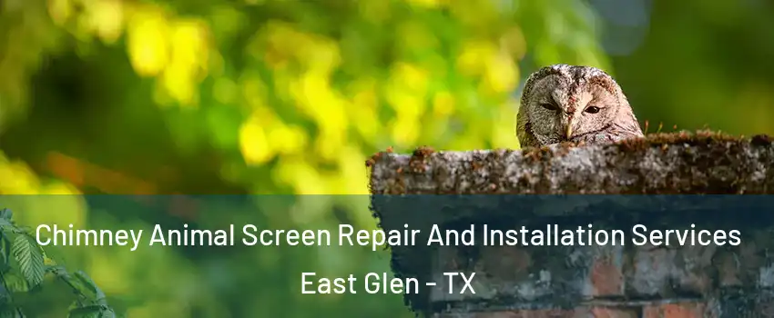 Chimney Animal Screen Repair And Installation Services East Glen - TX