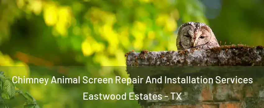 Chimney Animal Screen Repair And Installation Services Eastwood Estates - TX