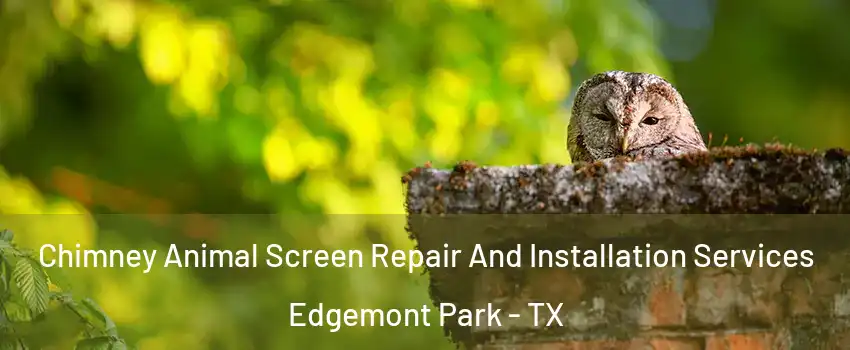 Chimney Animal Screen Repair And Installation Services Edgemont Park - TX