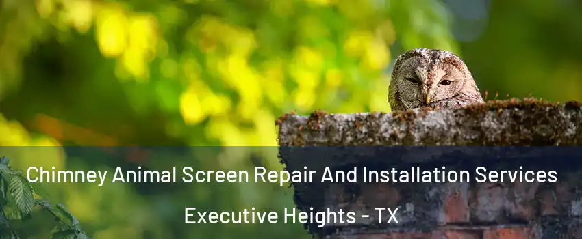 Chimney Animal Screen Repair And Installation Services Executive Heights - TX