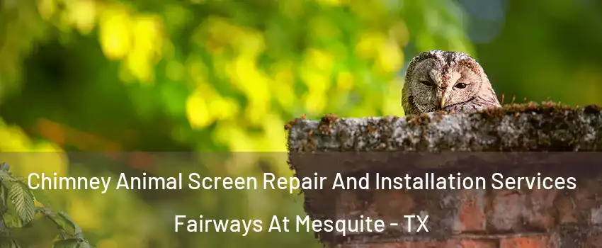 Chimney Animal Screen Repair And Installation Services Fairways At Mesquite - TX