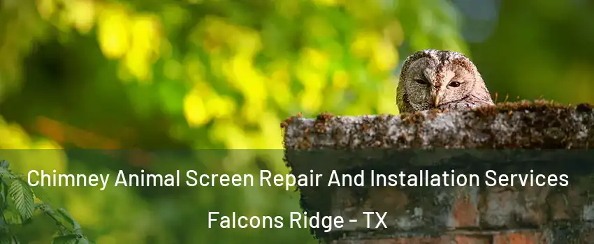 Chimney Animal Screen Repair And Installation Services Falcons Ridge - TX