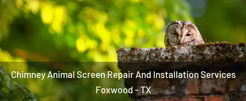 Chimney Animal Screen Repair And Installation Services Foxwood - TX