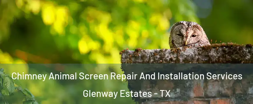 Chimney Animal Screen Repair And Installation Services Glenway Estates - TX