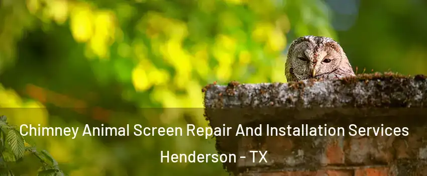 Chimney Animal Screen Repair And Installation Services Henderson - TX