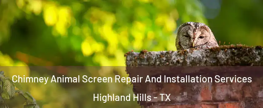 Chimney Animal Screen Repair And Installation Services Highland Hills - TX