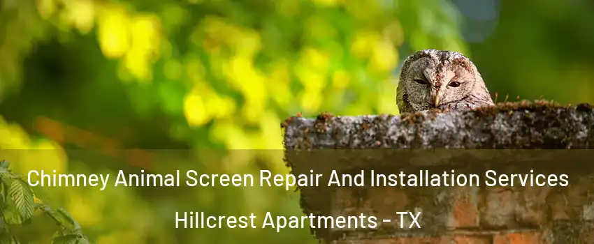 Chimney Animal Screen Repair And Installation Services Hillcrest Apartments - TX