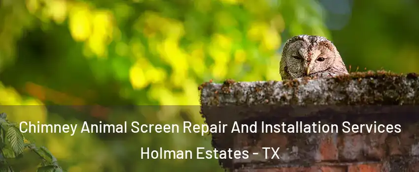 Chimney Animal Screen Repair And Installation Services Holman Estates - TX