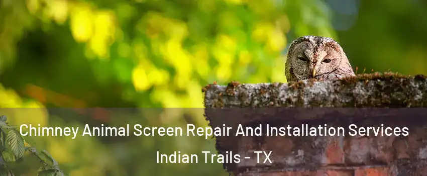 Chimney Animal Screen Repair And Installation Services Indian Trails - TX