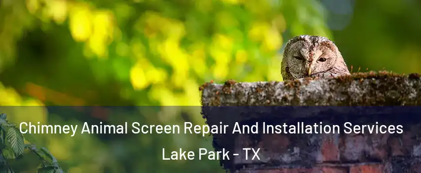 Chimney Animal Screen Repair And Installation Services Lake Park - TX