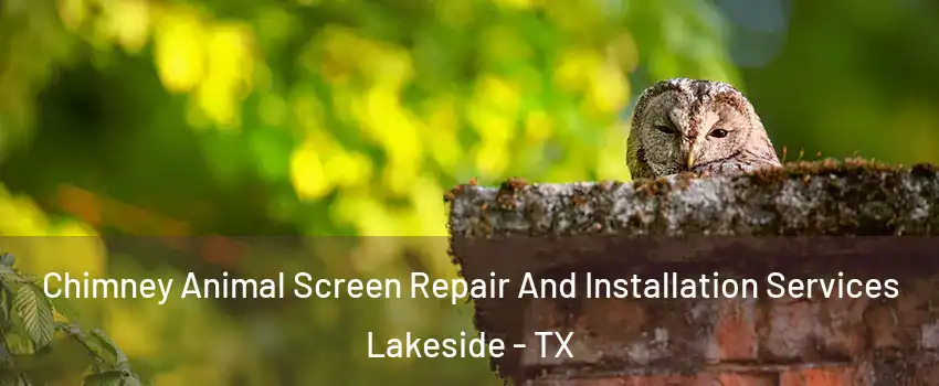 Chimney Animal Screen Repair And Installation Services Lakeside - TX