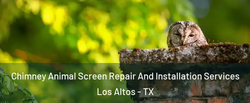 Chimney Animal Screen Repair And Installation Services Los Altos - TX